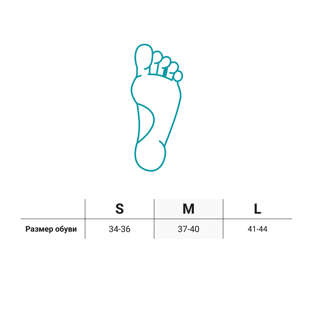 Плоские межпальцевые перегородки Molli ORTMANN (2 шт) купить в OrtoMir24